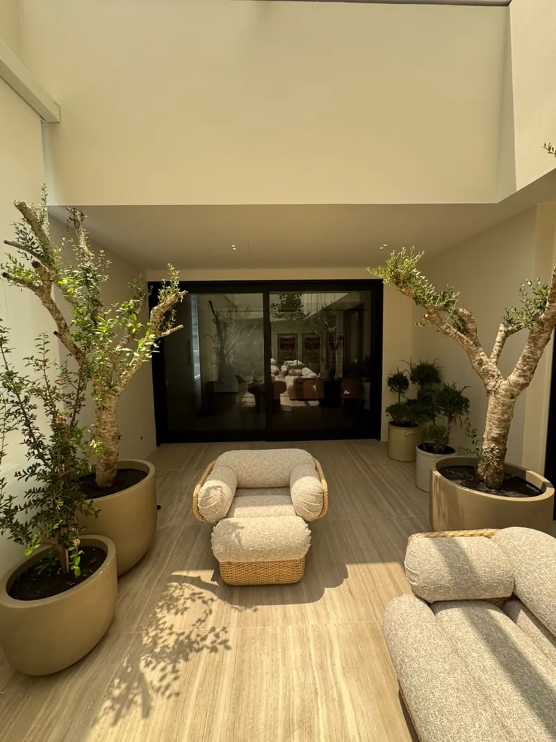 Terraço com oliveiras em vasos, poltrona e sofá claros e porta de vidro para a sala